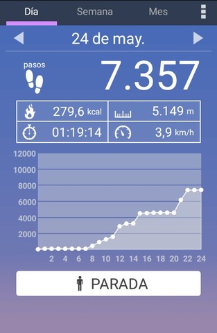 Podómetro segundo día