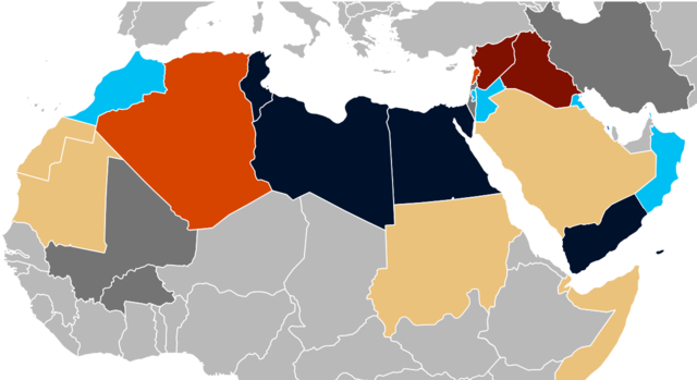 Nasce la primavera araba
