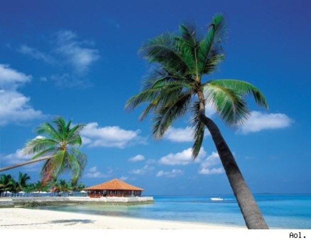 African and Caribbean