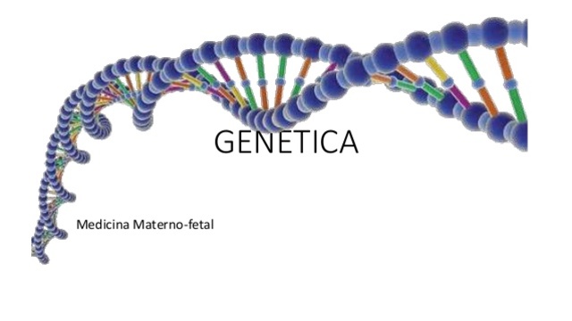 GENÉTICA