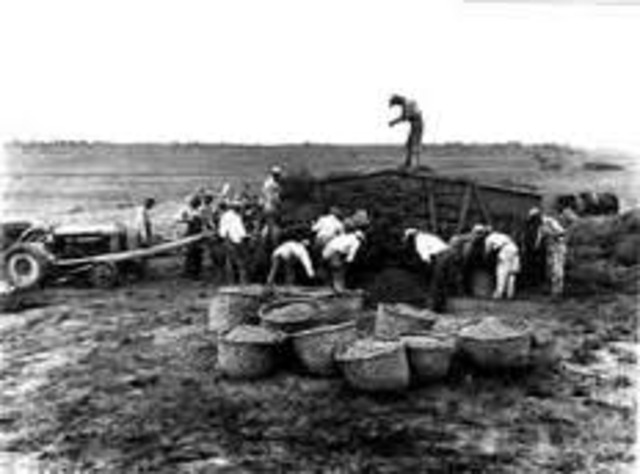 hawley smooth tariff act