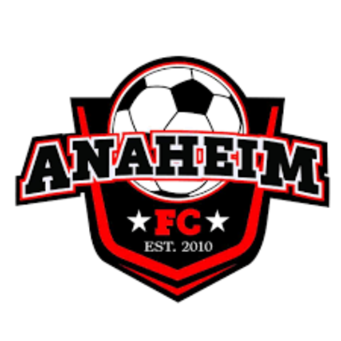 Joining a soccer club