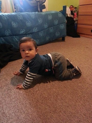 a los seis meses empece a gatear.