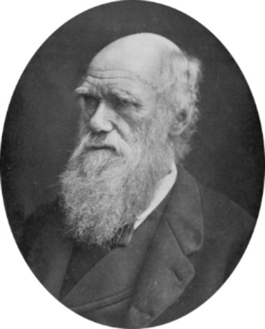 Naixement de Darwin