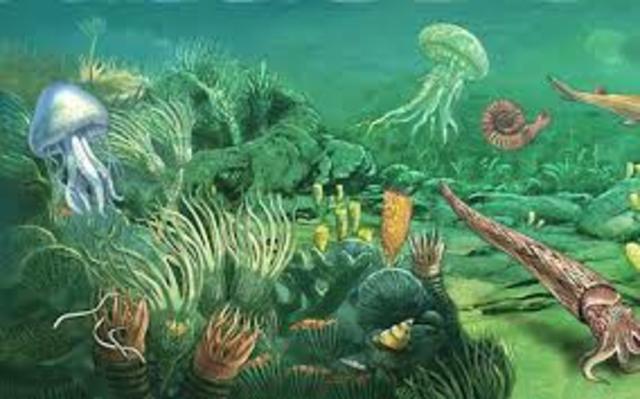 ERA PALEOZOICA