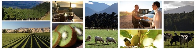 New Zealand Sustainability Dashboard Project