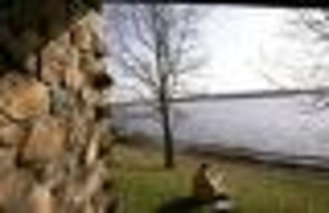 New fersey constitution temporarily gives women the vote