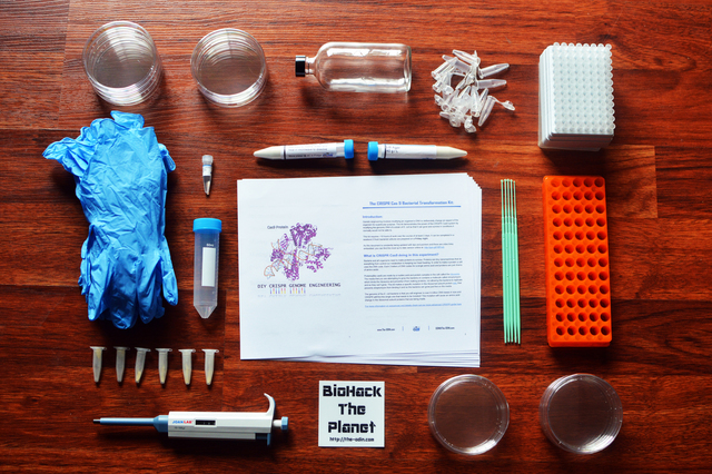 The ODIN raises $71,496 for DIY CRISPR Kit
