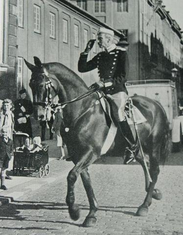 Danish king rides through the streets