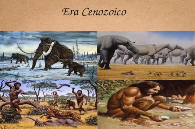 ERA CENOZOICA
