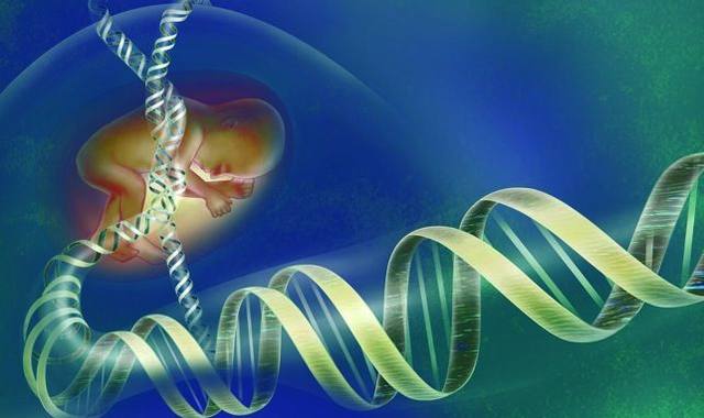 Se completa el Proyecto Genoma Humano.