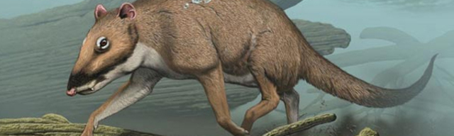 TERCIARIO: PERIODO EOCENO