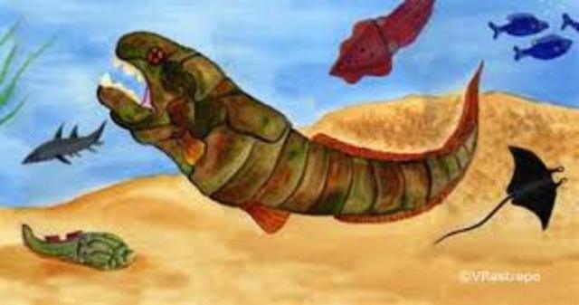 Período Devónico 400 m.a.