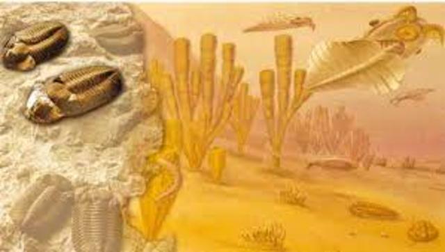 Período Pensilvánico 330 m.a.