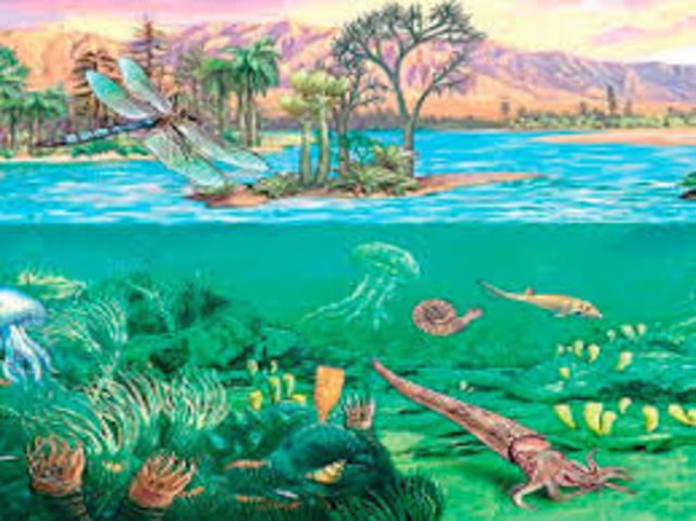 ERA PALEOZOICA