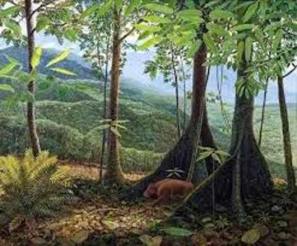 Época Paleocena 70 m.a.