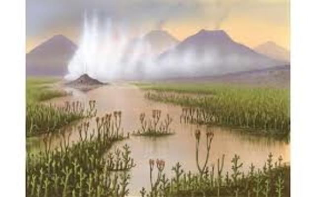 Periodo Ordovicicuo(era paleozoica)