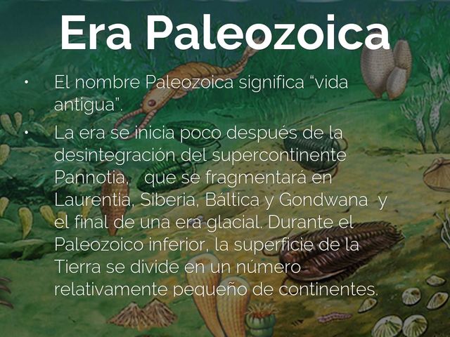 Era Paleozoica Periodo Pérmico.