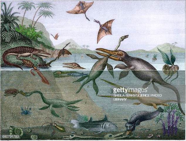 ERA SECUNDARIA O MESOZOICA