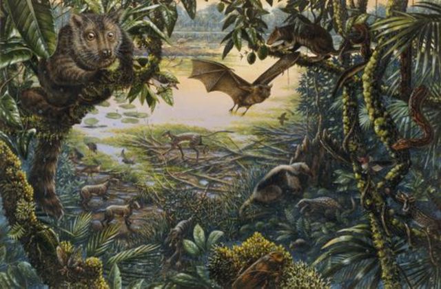 Periodo eoceno(era cenozoica)