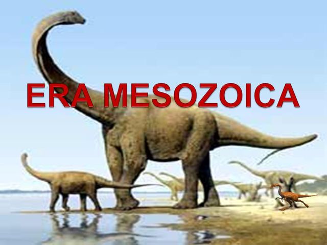 Era Mesozoica Periodo Triásico.