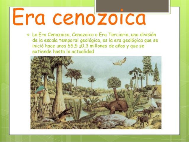Era Cenozoica Periodo Paleoceno - (Terciaria)