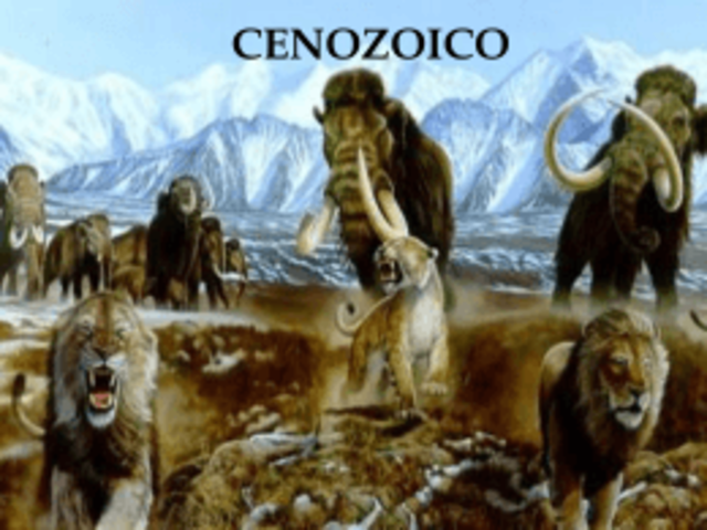 Era Cenozoica Periodo Pleistoceno - (Cuaternaria)