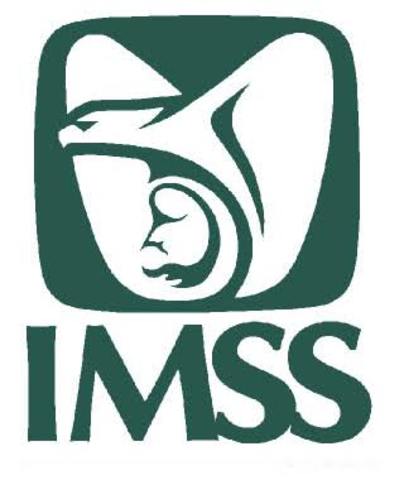 Orígenes en el IMSS