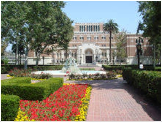 Término de Medicina Critica
