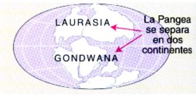 - Período Triásico