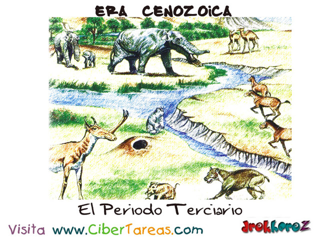 - Período Terciario
