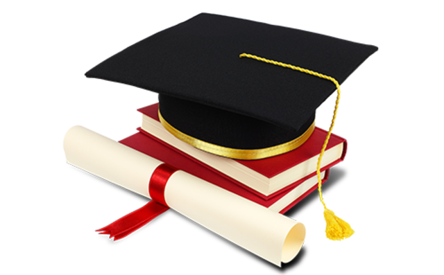 Formación académica