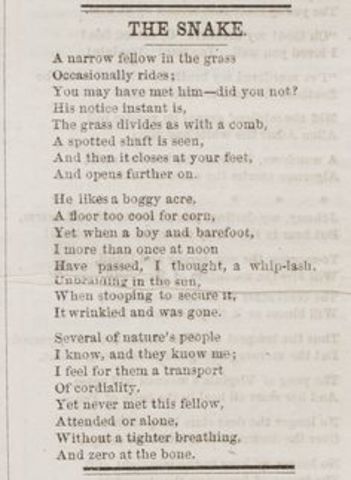 "The snake" (Emily Dickinson)