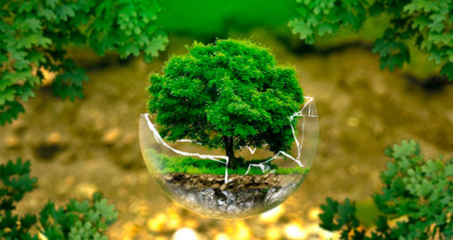 DECRETO 1608 DE 1978