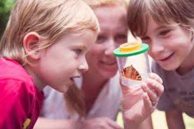 Noción de educación de Sutherland