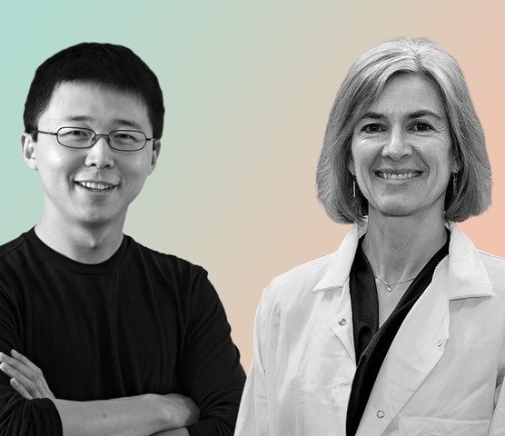 UC Berkley vs. Broad Institute CRISPR Patent War Begins [https://www.theverge.com/2016/12/6/13857674/crispr-gene-editing-patent-dispute-berkeley-broad-mit-jennifer-doudna-feng-zhang](http://www.timetoast.com)