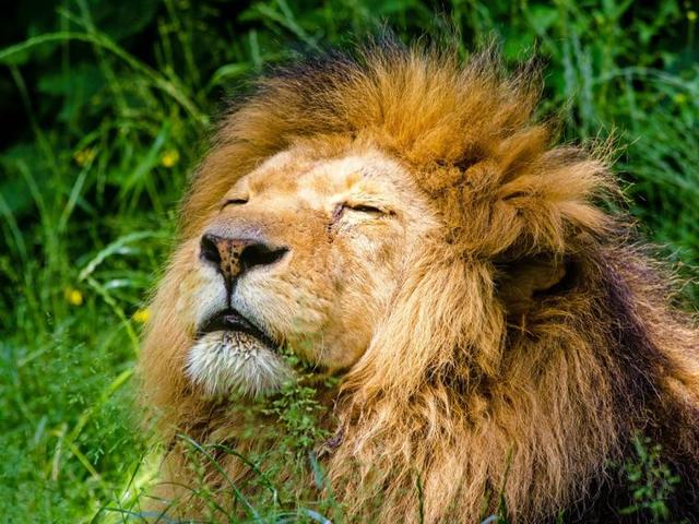 Decreto 1791 de 1996