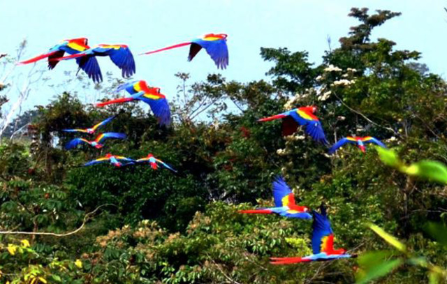 Decreto 1401 de 1997