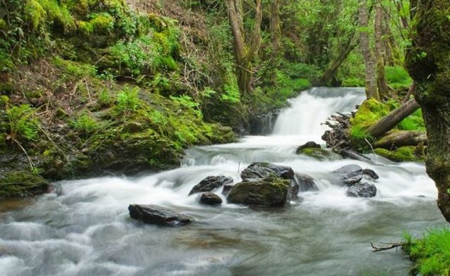 DECRETO 1541 DE 1978