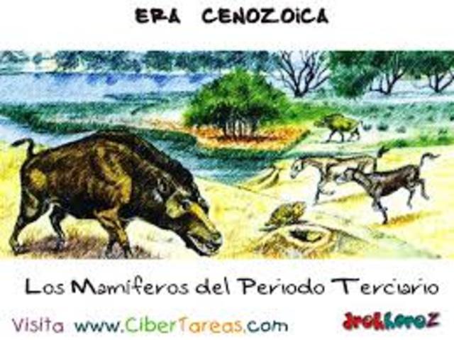 Era cenozoica