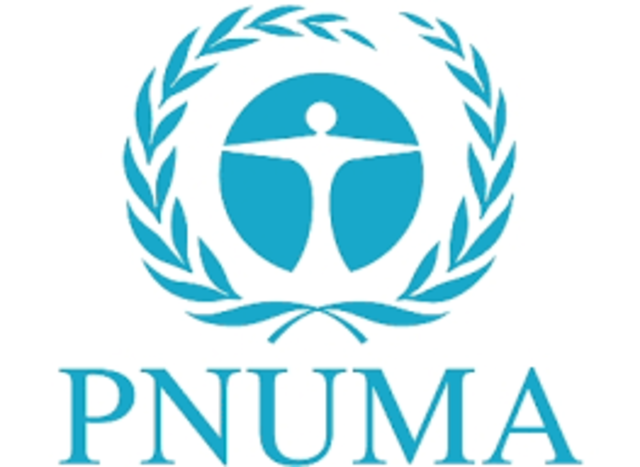 Se creó el Programa de las Naciones Unidas para el Medio Ambiente (PNUMA)