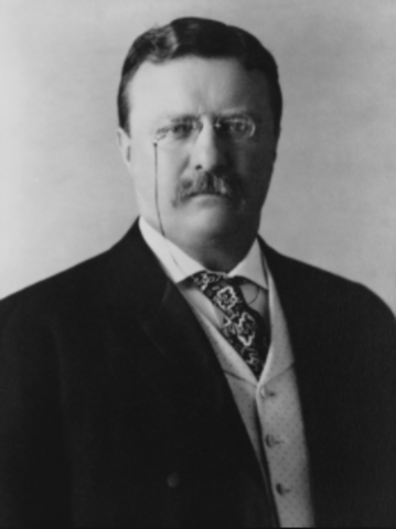 Theodore Roosevelt becomes President