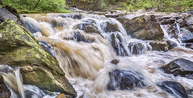 DECRETO 1729 DE 2002