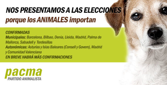 Primeras elecciones municipales