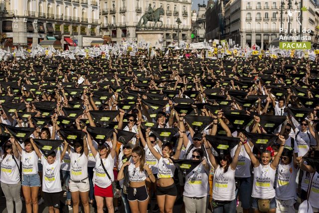 Mayor manifestación contra el maltrato animal