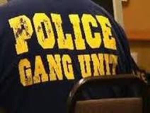 The Gang Unit is Created