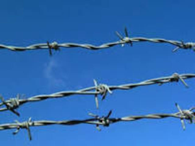 Barbed Wire