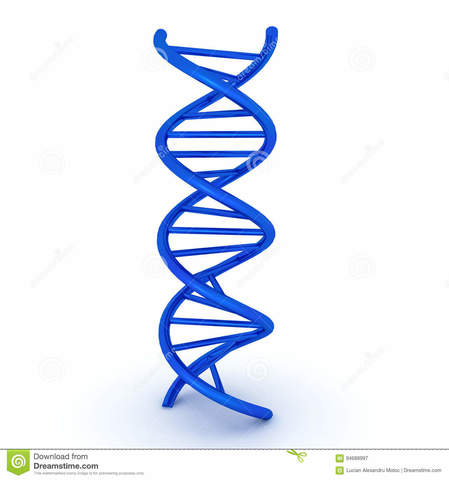 Doble hélice del ADN