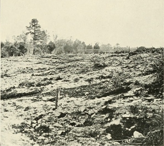 The Battle of Cold Harbor