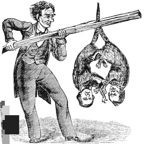 The Democratic Party Splits for the Election of 1860